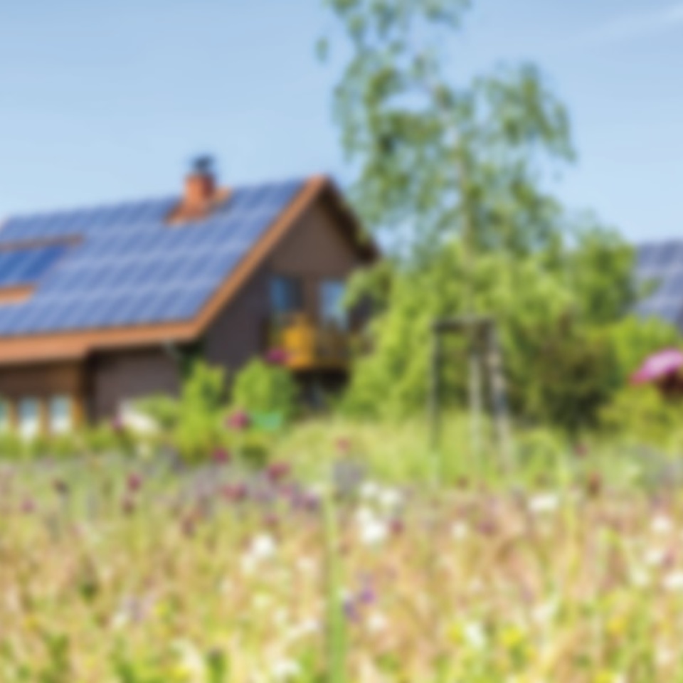 Erneuerbare Energien